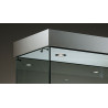 Volglas vitrine Nova 6 met plafond LED verlichting