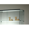 Volglas vitrine Nova 6 met rail LED verlichting