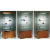 Volglas vitrine met draaideur-onderkast Nova 6DK met plafond LED verlichting